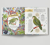 Fly - Shortlisted for the Wainwright Prize for Children's Nature and Conservation Writing 2024