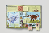Lift the Flap: Encyclopaedia of Dinosaurs