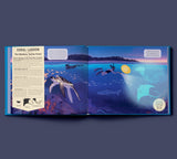 Shine Your Magic Torch: Mysteries of the Ocean