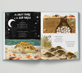 5 Minute Ocean Stories: True Tales from the Sea