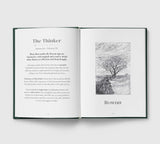 The Tree Zodiac