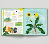 The Stuff that Stuff is Made Of