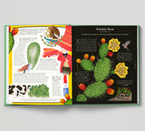 The Stuff that Stuff is Made Of