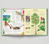 The Stuff that Stuff is Made Of