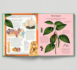 The Stuff that Stuff is Made Of