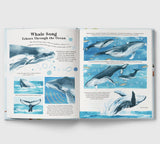 Nature in a Nutshell