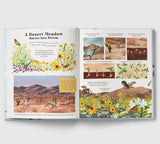 Nature in a Nutshell