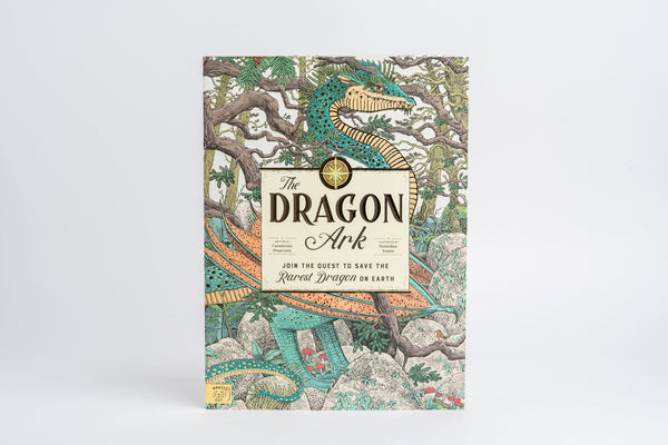 Dragon Ark Colouring Sheets