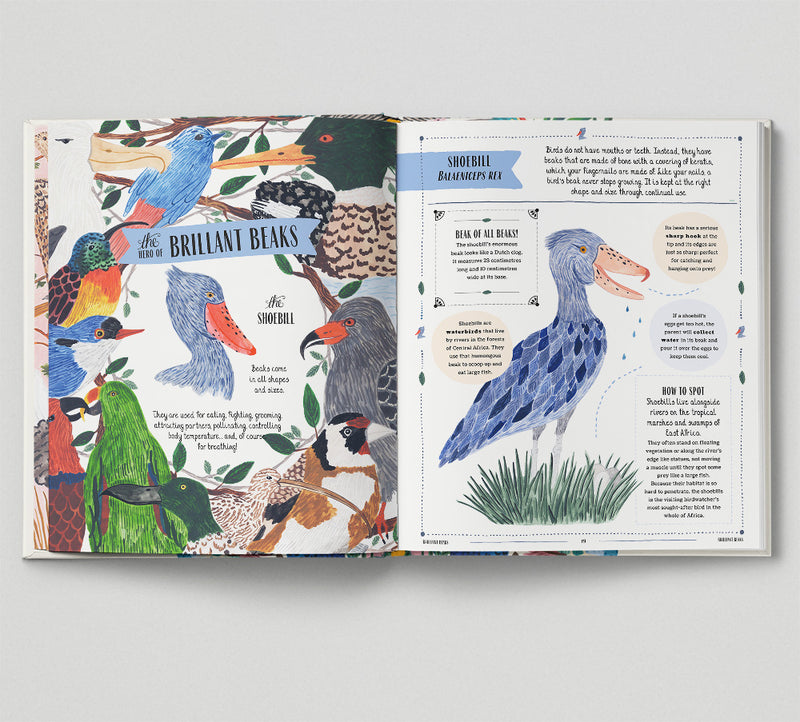 Fly - Shortlisted for the Wainwright Prize for Children's Nature and Conservation Writing 2024