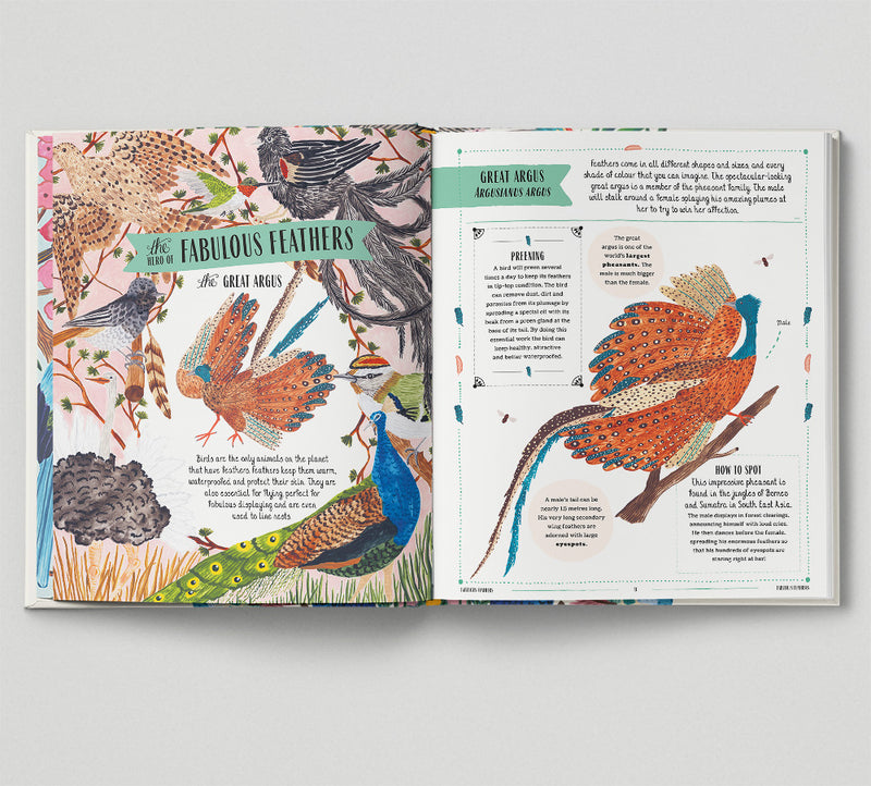 Fly - Shortlisted for the Wainwright Prize for Children's Nature and Conservation Writing 2024