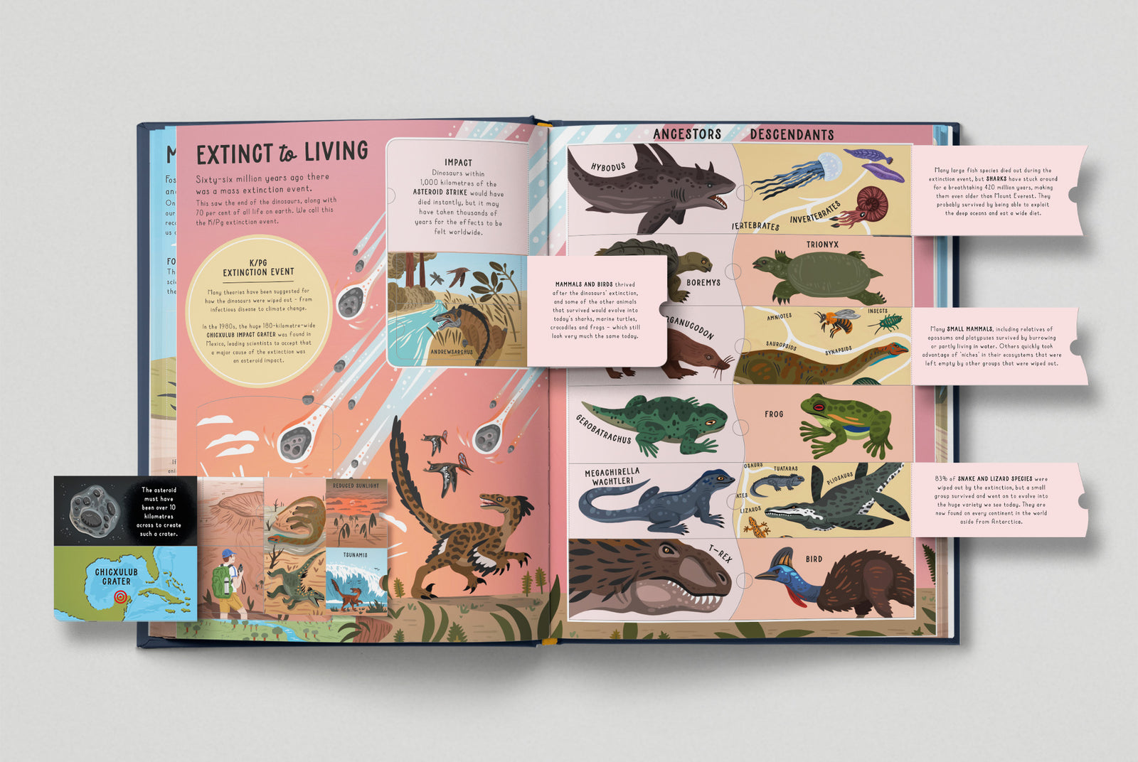 Lift The Flaps: Dinosaurs Lift The Flaps: Dinosaurs