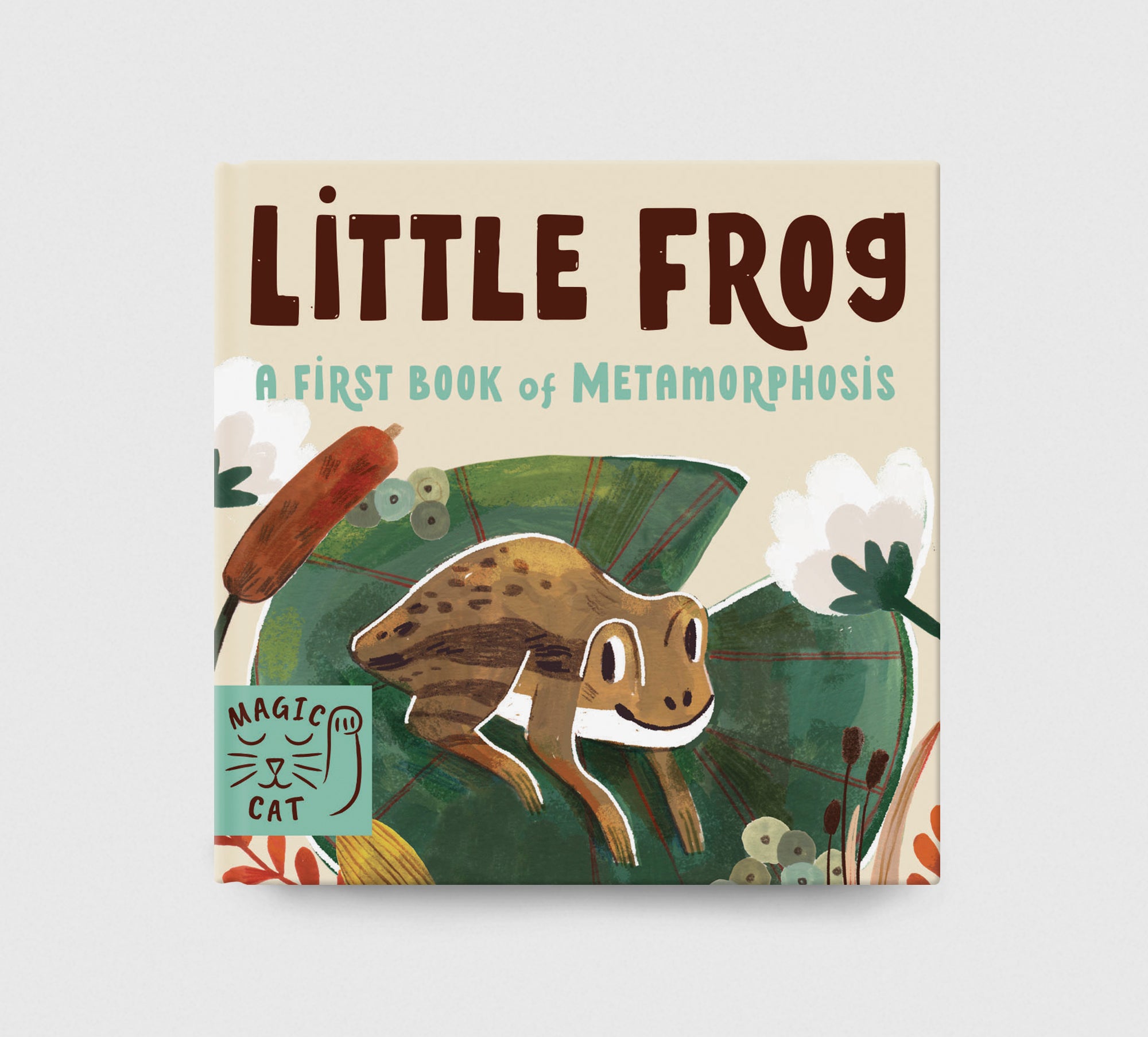 5 Minute Nature Story Box – Magic Cat Publishing