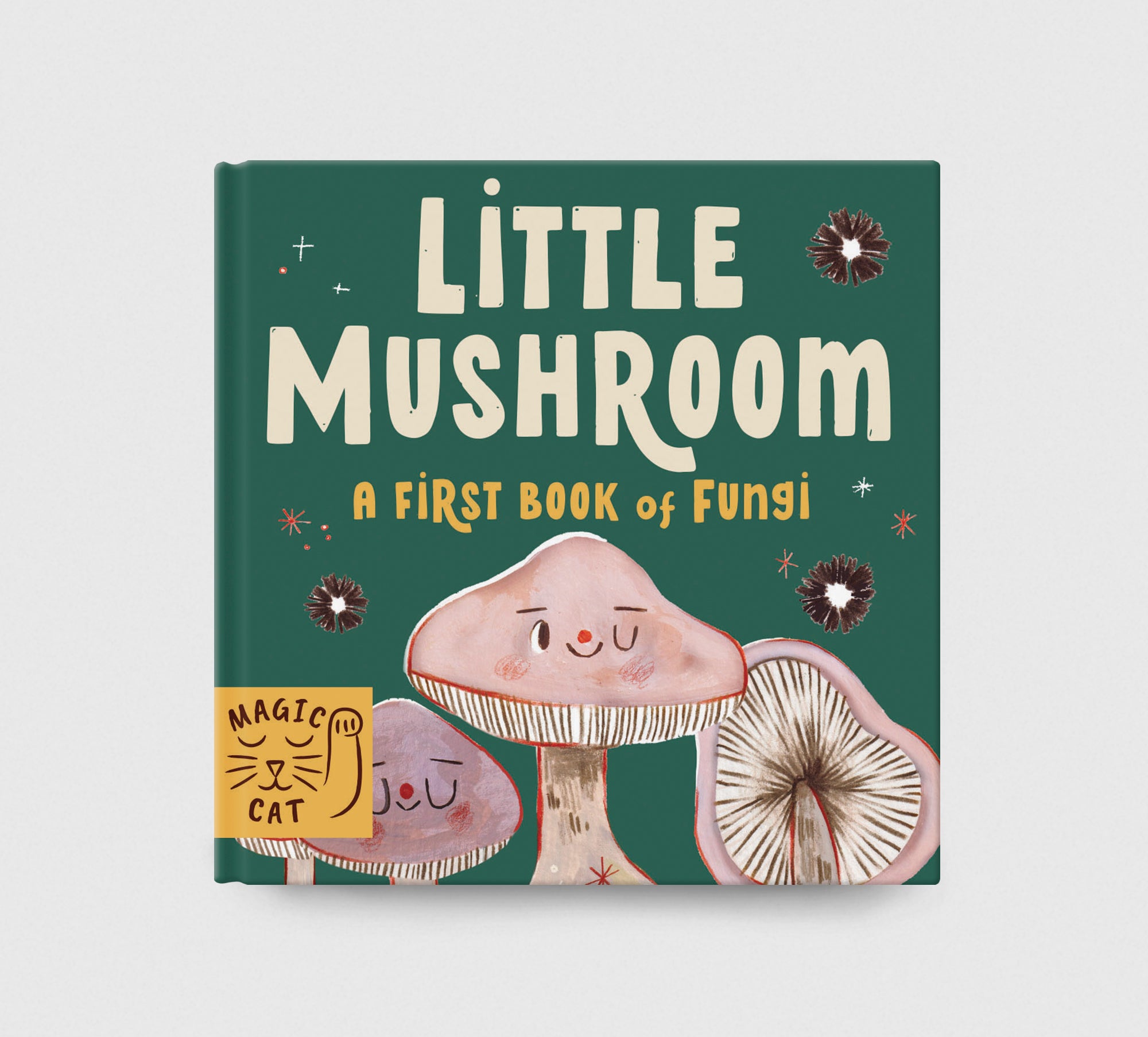5 Minute Nature Story Box – Magic Cat Publishing