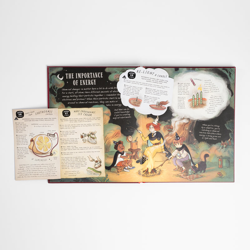 The Wizard's Guide to Magical Experiments