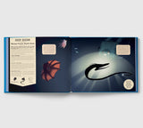Shine Your Magic Torch: Mysteries of the Ocean