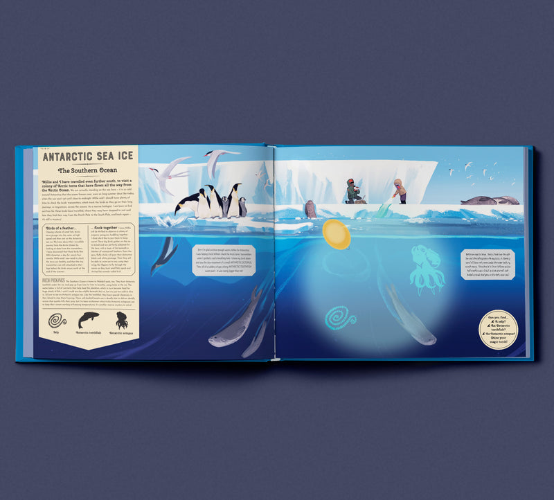 Shine Your Magic Torch: Mysteries of the Ocean