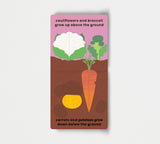 Love Veggies with Jamie Oliver