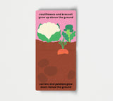 Love Veggies with Jamie Oliver