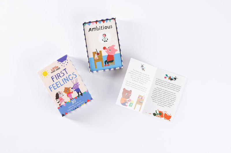 Little Word Whizz: First Feelings Flashcards