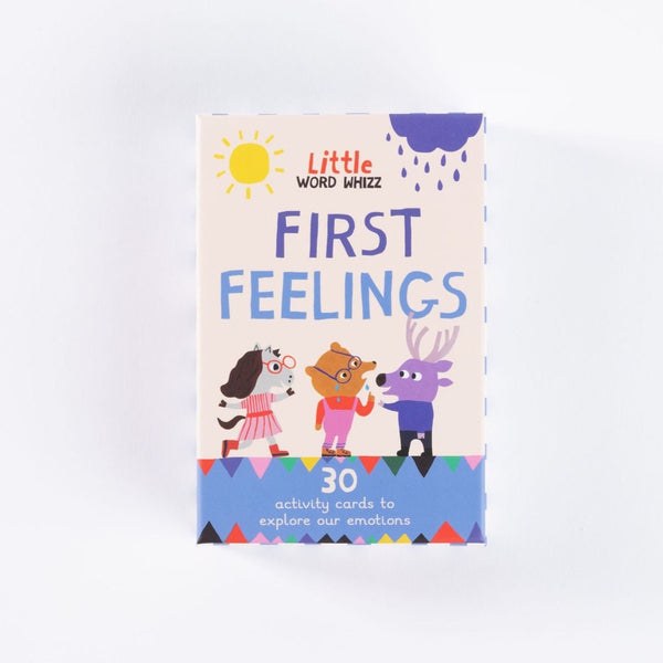 Little Word Whizz: First Feelings Flashcards