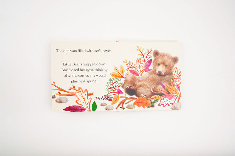 Goodnight, Little Bear Board Book