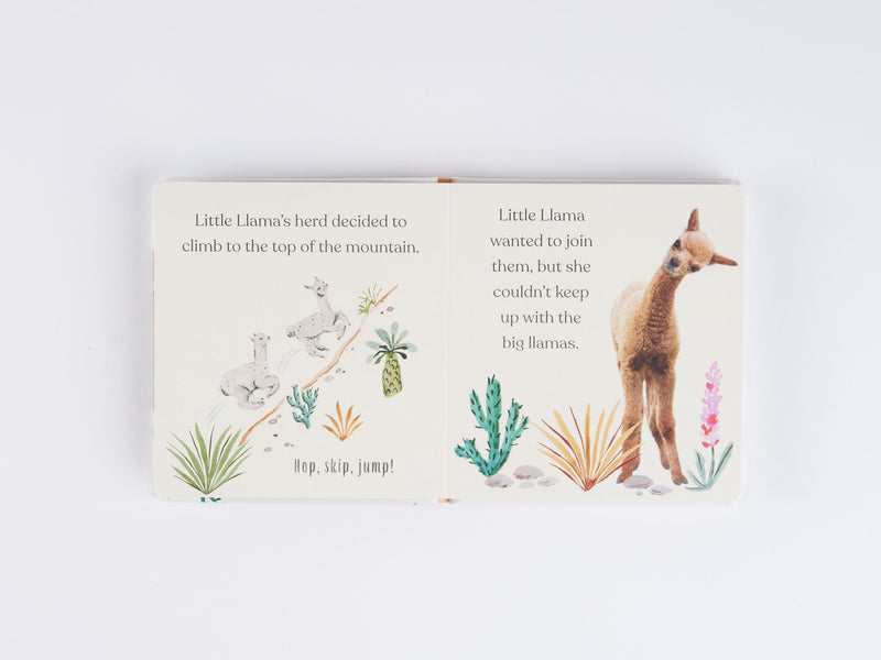 Goodnight, Little Llama Board Book