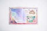 The Magic Carpet's Guide to Earth's Forbidden Places