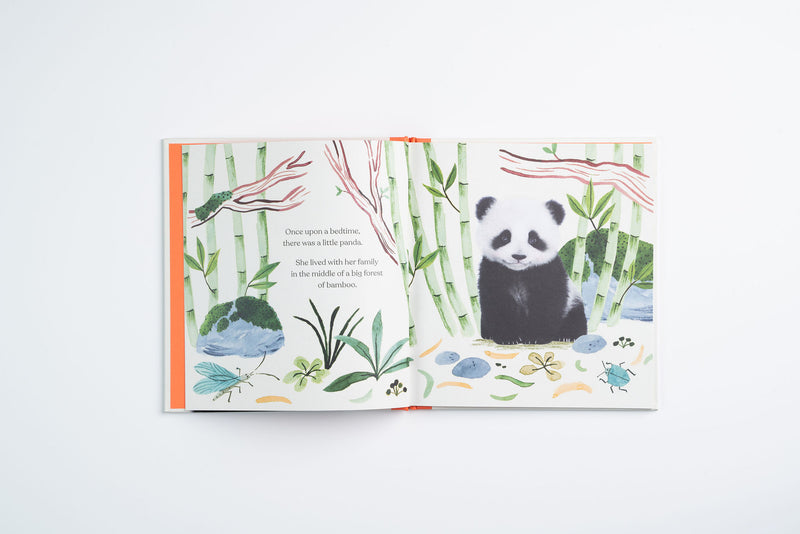 Goodnight, Little Panda