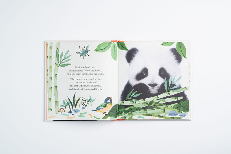 Goodnight, Little Panda