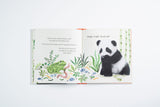Goodnight, Little Panda