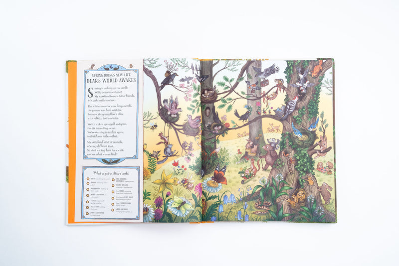 Brown Bear Wood: If You Go Down to the Woods Today