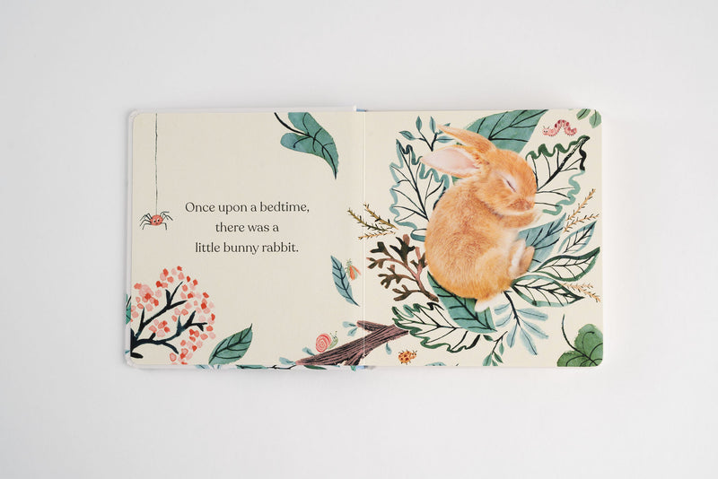 Goodnight, Little Bunny Board Book