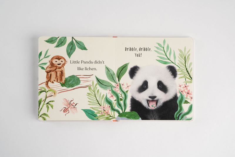 Goodnight, Little Panda Board Book