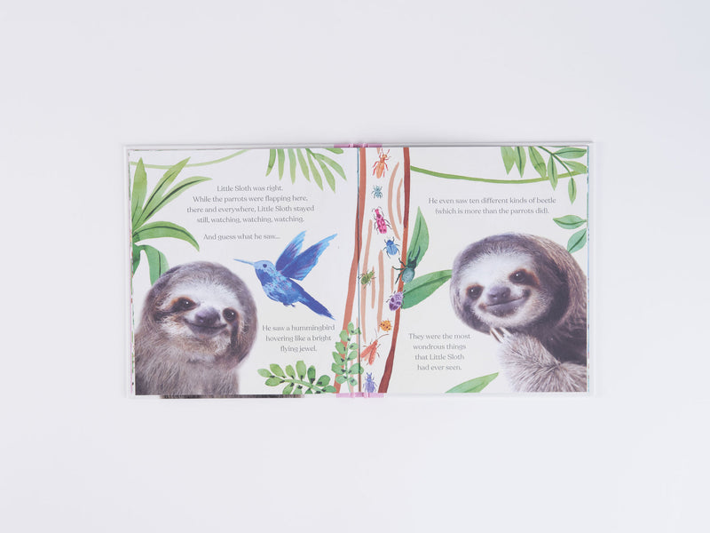 Goodnight, Little Sloth