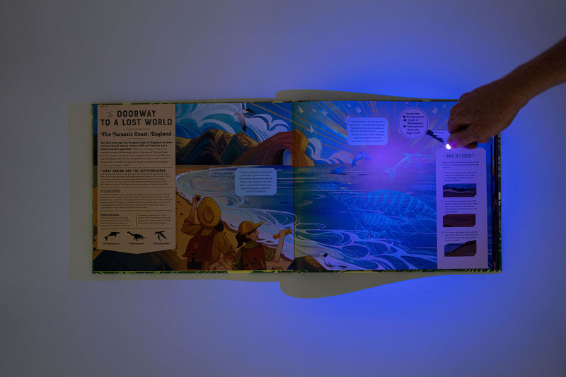 Shine Your Magic Torch: Dinosaurs and Prehistoric Beasts